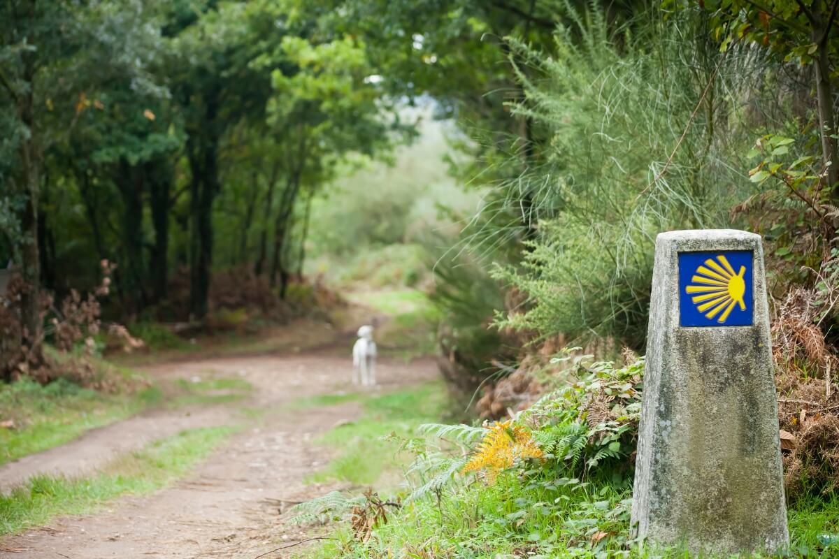 Cómo prepararse para hacer el Camino de Santiago: Guía práctica de entrenamiento